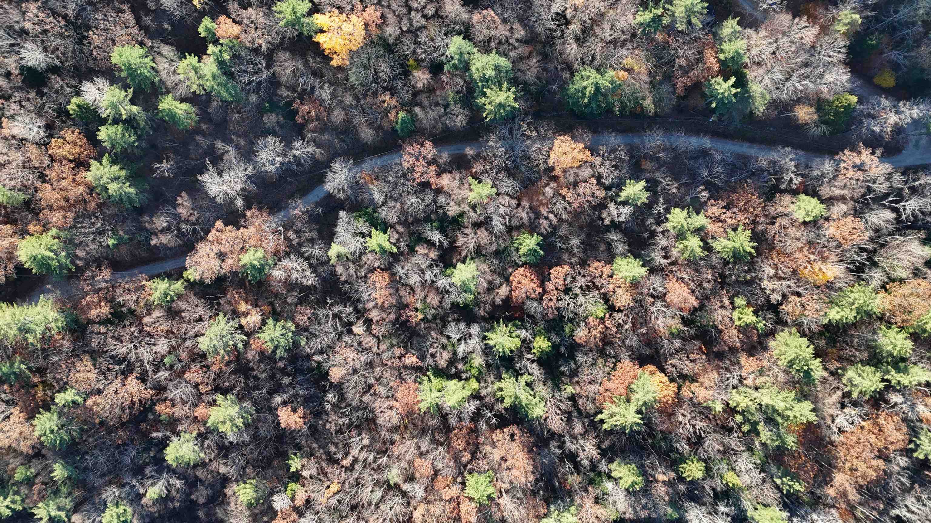 0 Whitney Road, Unit 132 Henniker, NH 03242 - Photo 7 of 20