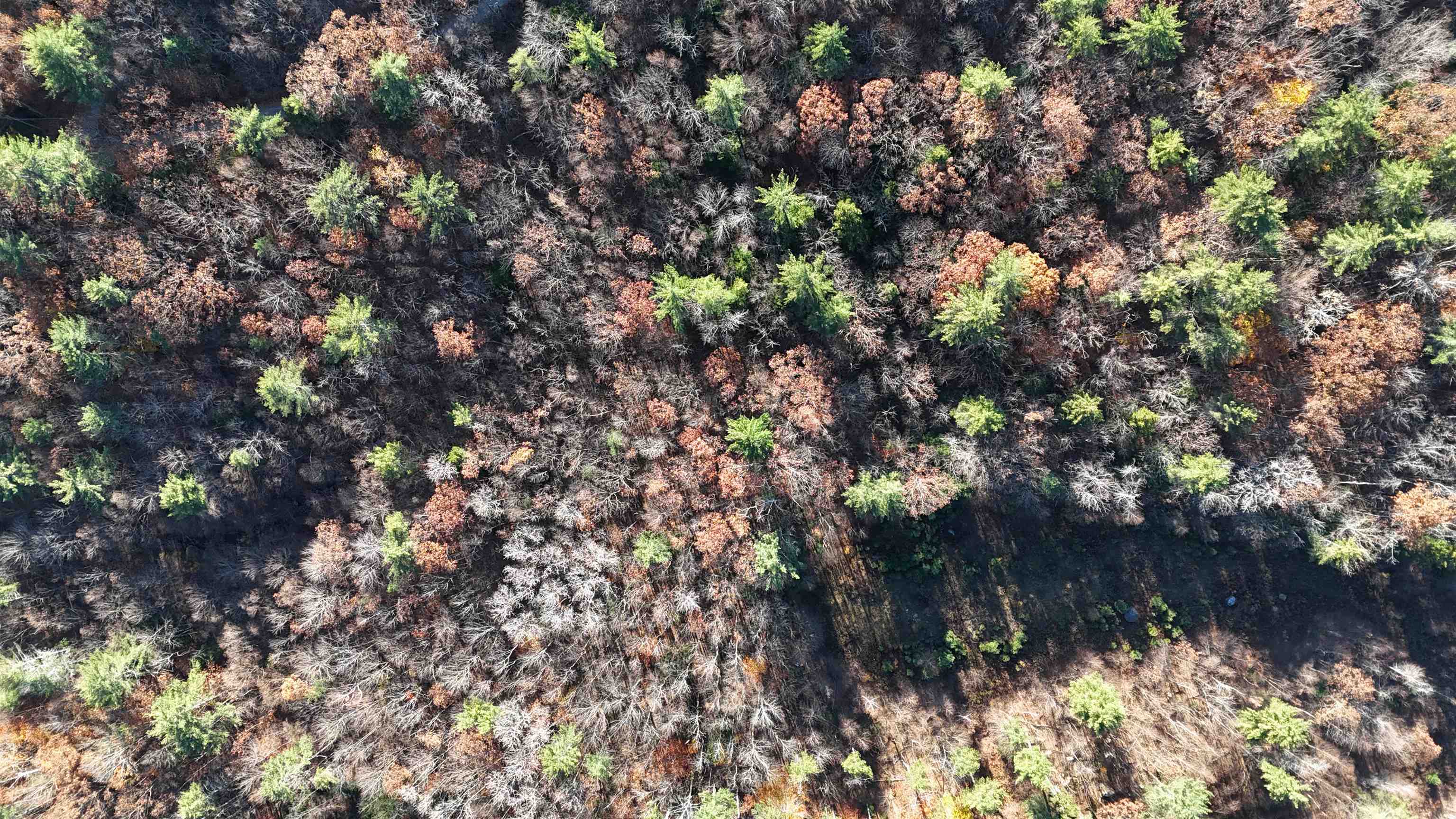 0 Whitney Road, Unit 132 Henniker, NH 03242 - Photo 8 of 20