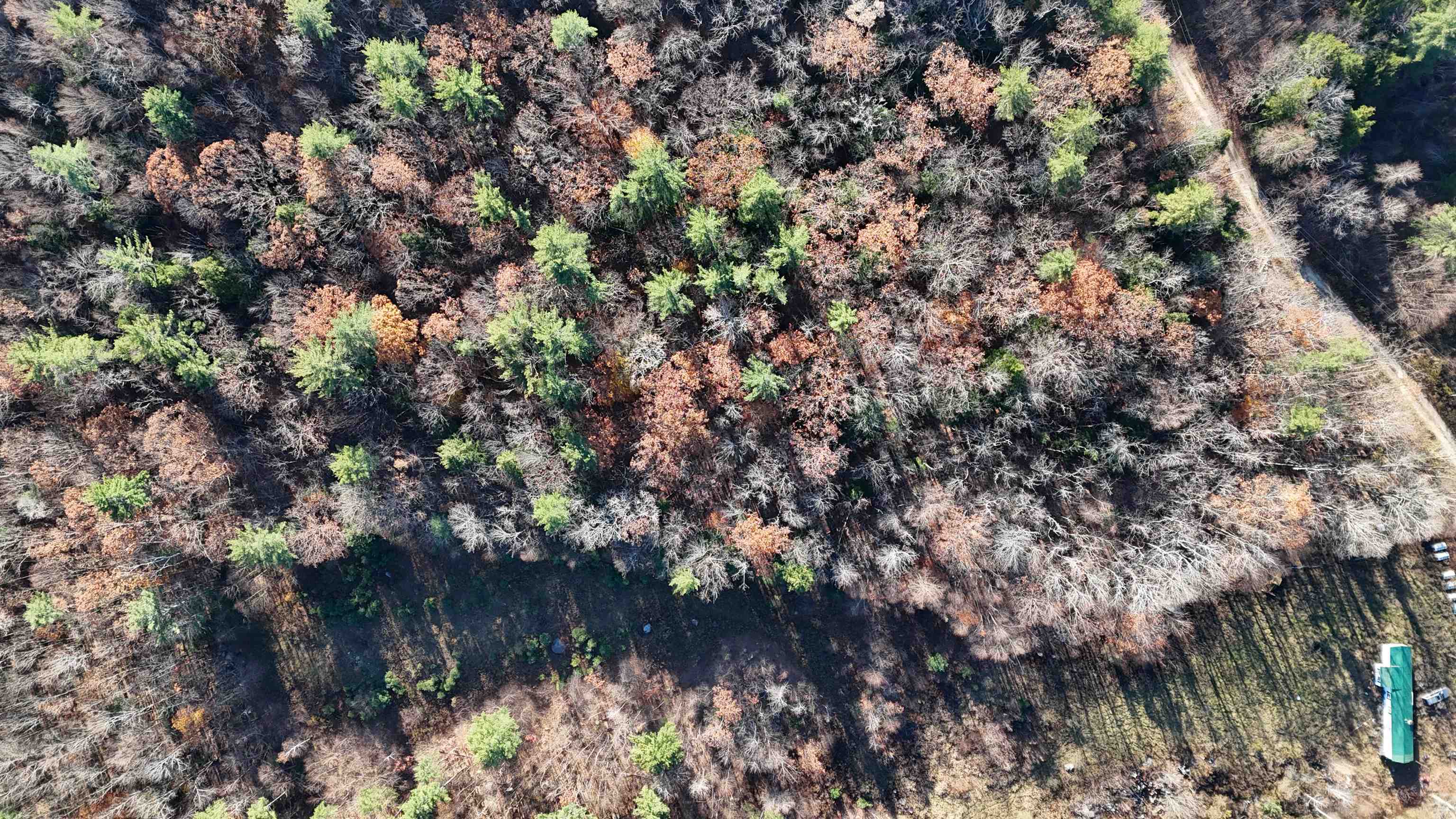 0 Whitney Road, Unit 132 Henniker, NH 03242 - Photo 9 of 20