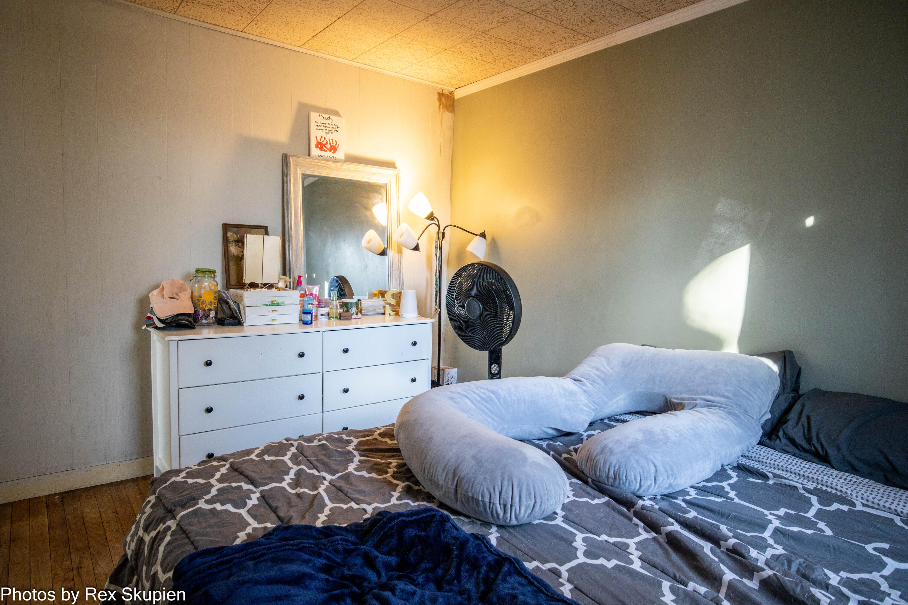 22 Greenback Street Hesperia, MI 49421 - Photo 15 of 19 IMG_5768-HDR