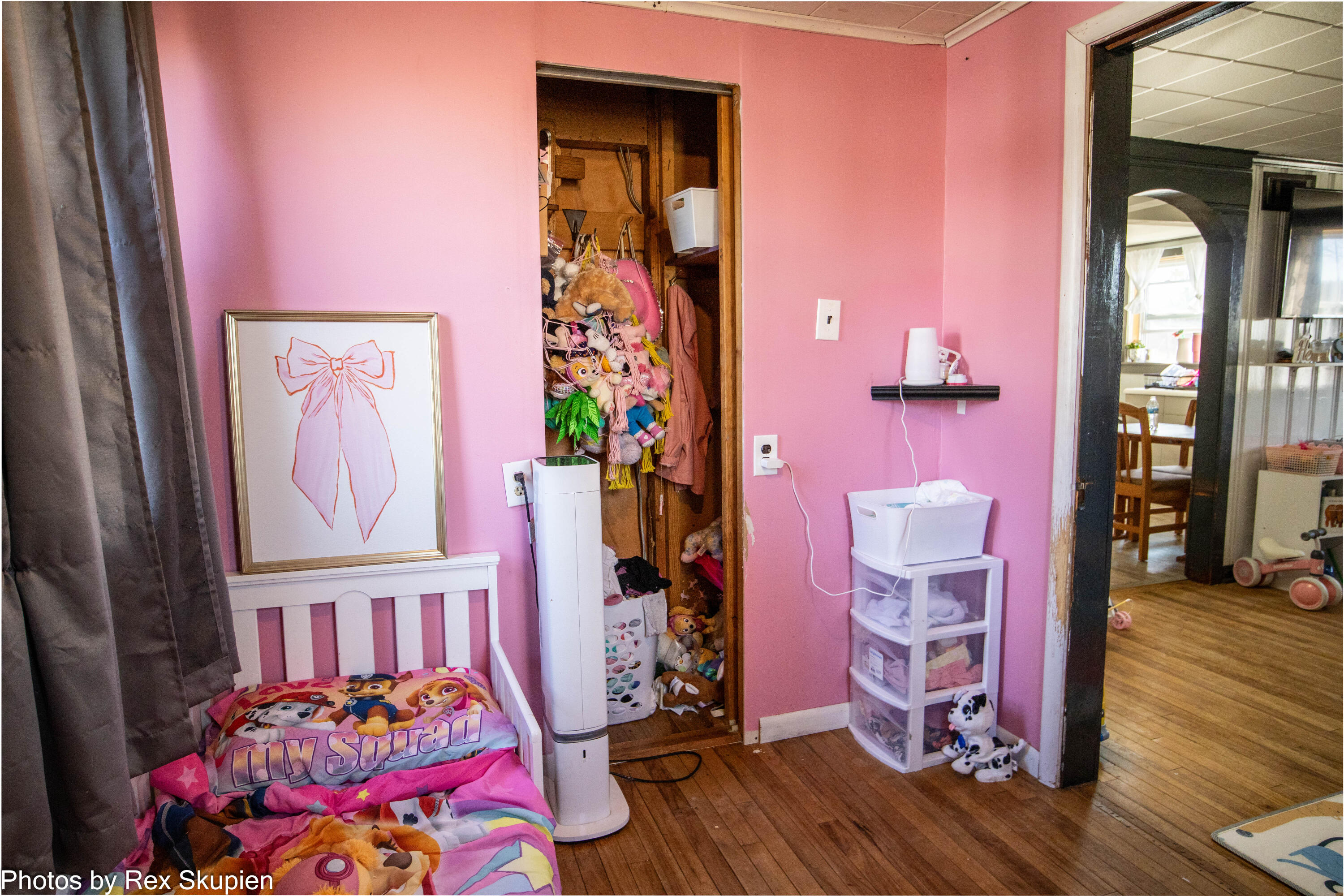 22 Greenback Street Hesperia, MI 49421 - Photo 17 of 19 IMG_5783-HDR