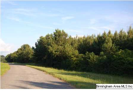 509 County Road, Unit 40 Woodland, AL 36280 - Photo 9 of 21