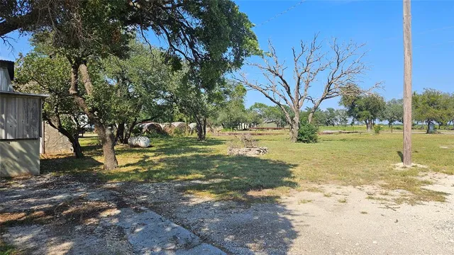 a view of yard with trees