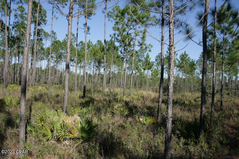 19732 Timbercrest Road Fountain, FL 32438 - Photo 24 of 40