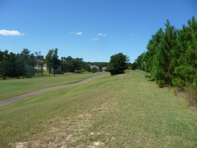 121 Commonwealth Way Aiken, SC 29803 - Photo 4 of 10