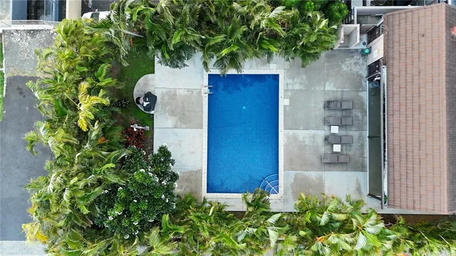 view of a potted plants next to a wall