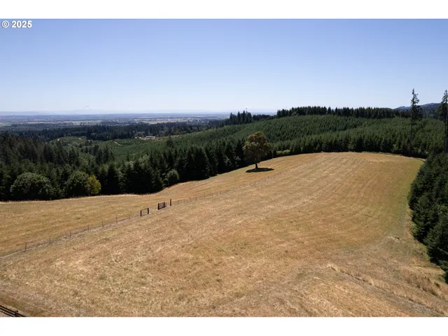 a view of a backyard with a table and chairs