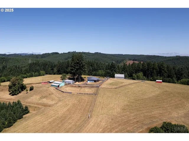 a view of a dry yard with trees