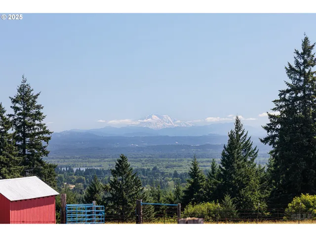 a view of a bunch of trees in a field