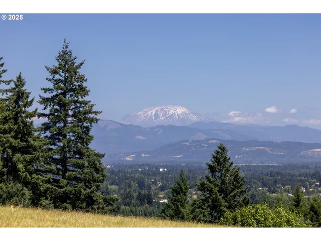 a view of city and mountain