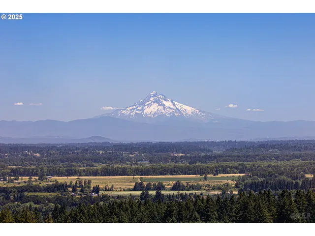 a view of a backyard with green space