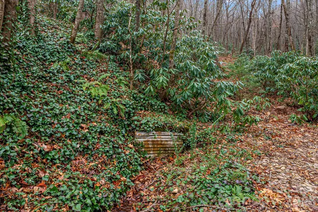 $400,000 | 55 Heavenly Lane, Fairview, NC 28730