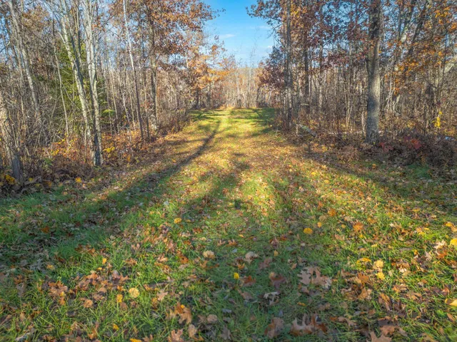 $24,000 | Tbd Dry Landing Road, Danbury, WI 54830