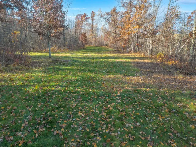 $24,000 | Tbd Dry Landing Road, Danbury, WI 54830