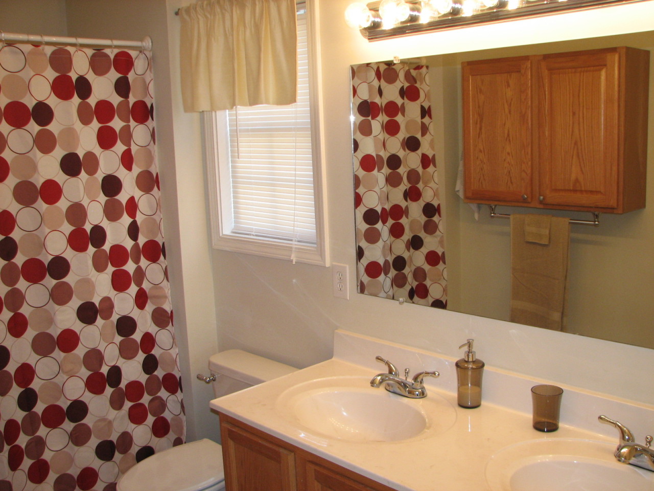 1715 Meadows Road Vinton, VA 24179 - Photo 20 of 37 a bathroom with a sink a toilet and a mirror
