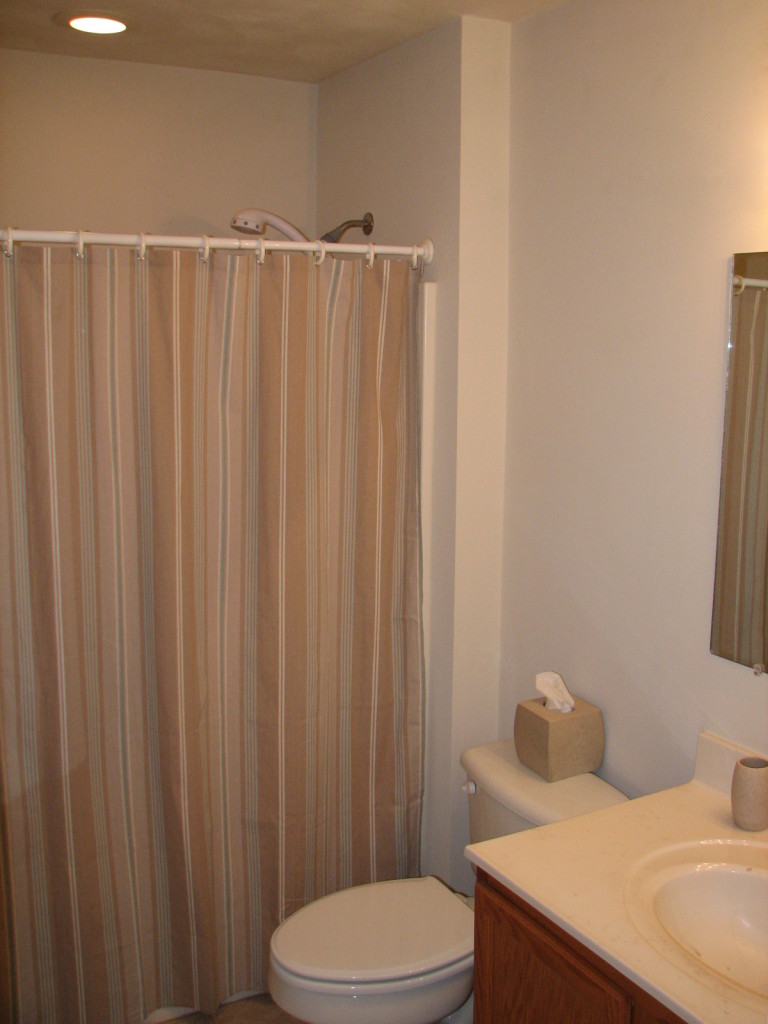 1715 Meadows Road Vinton, VA 24179 - Photo 22 of 37 a bathroom with a sink a toilet and shower curtain