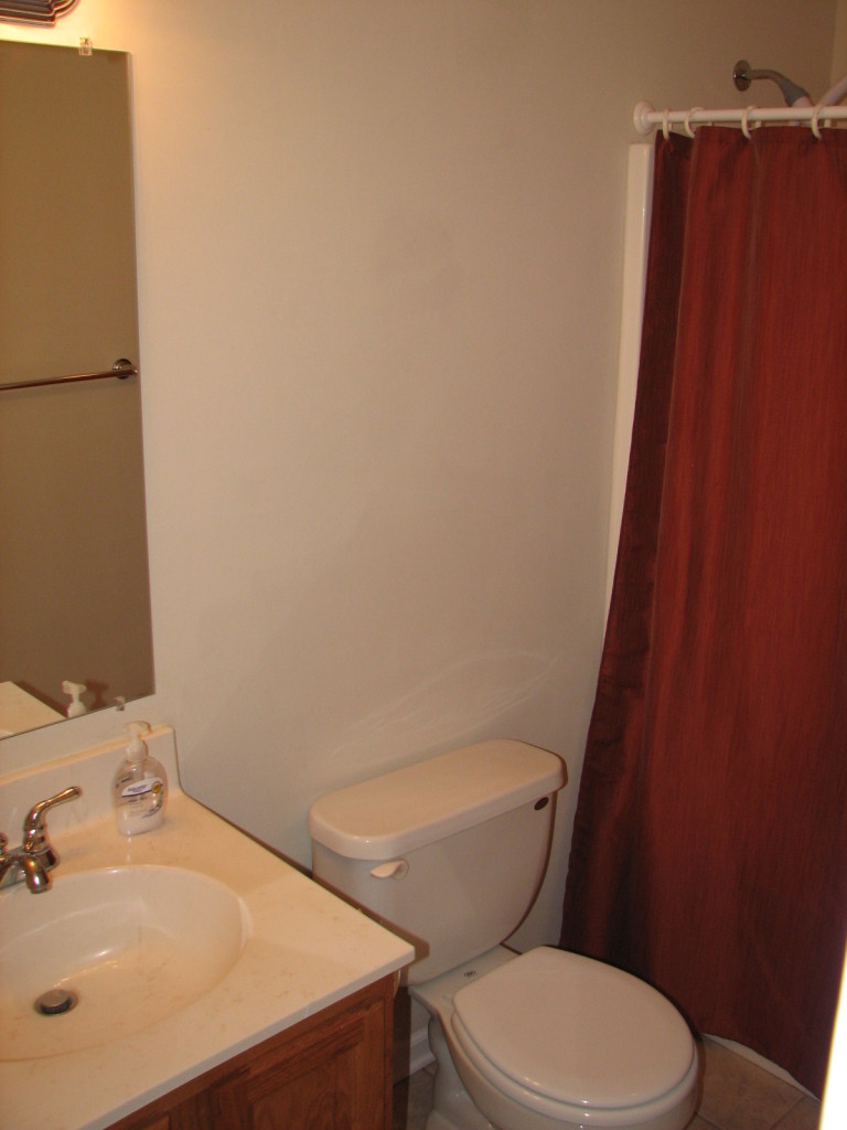 1715 Meadows Road Vinton, VA 24179 - Photo 28 of 37 a white toilet sitting next to a bathroom sink