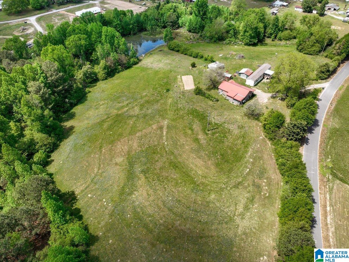 888 County Road 1663 Cullman, AL 35058 - Photo 1 of 20