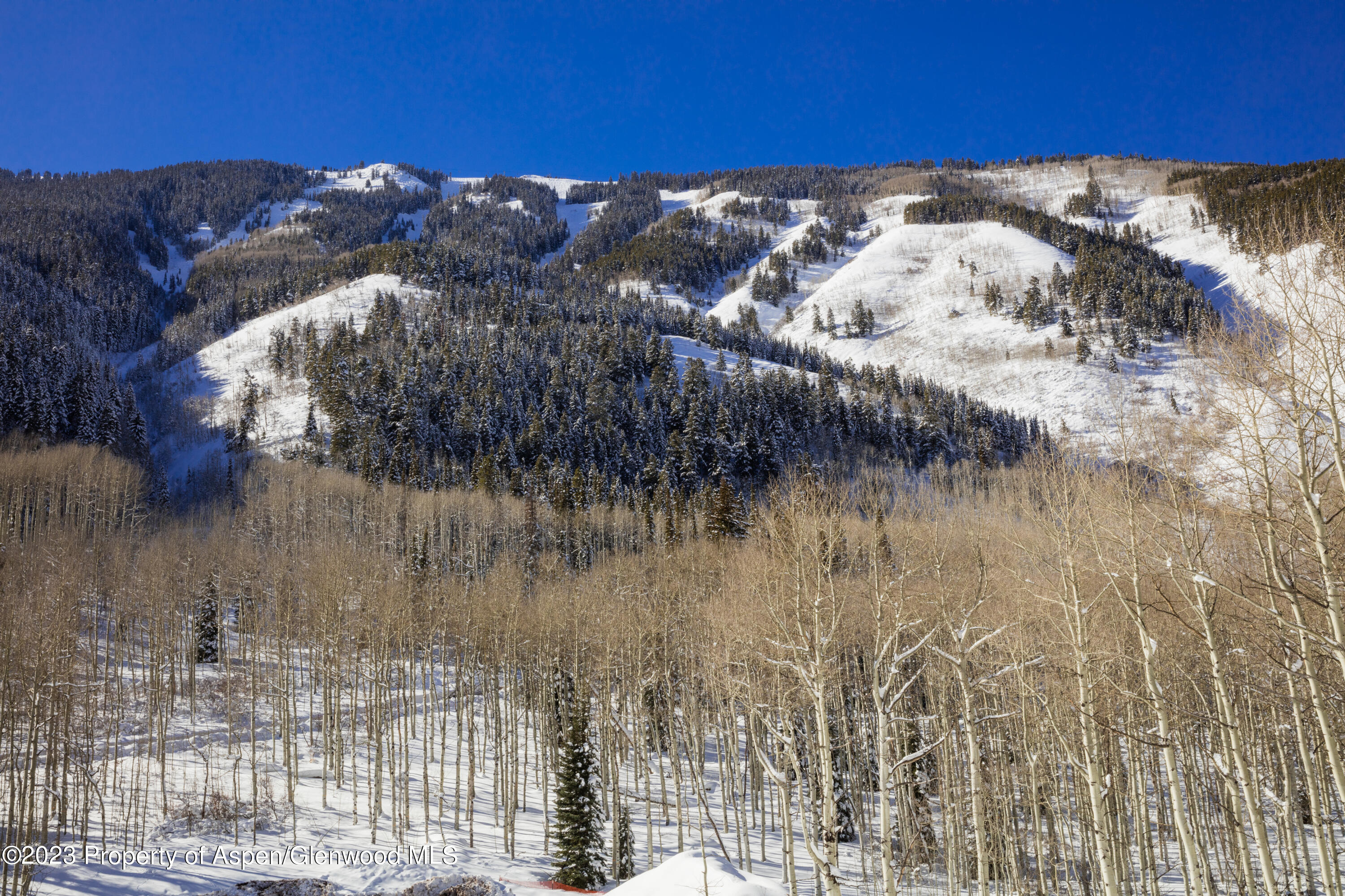 640 South Hayden Road Aspen, CO 81611 - Photo 28 of 42 14