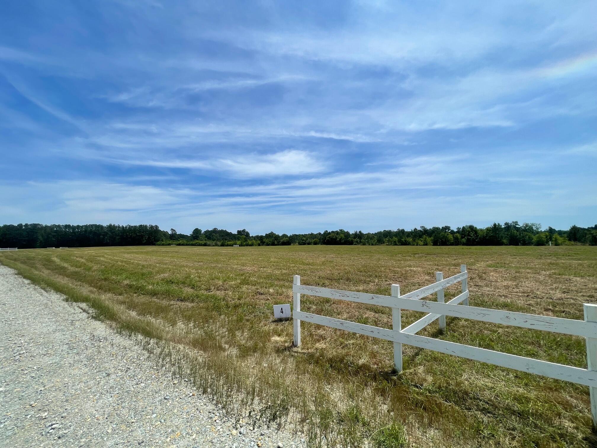 129 Rambling Lane Cross, SC 29436 - Photo 2 of 8 IMG_7404