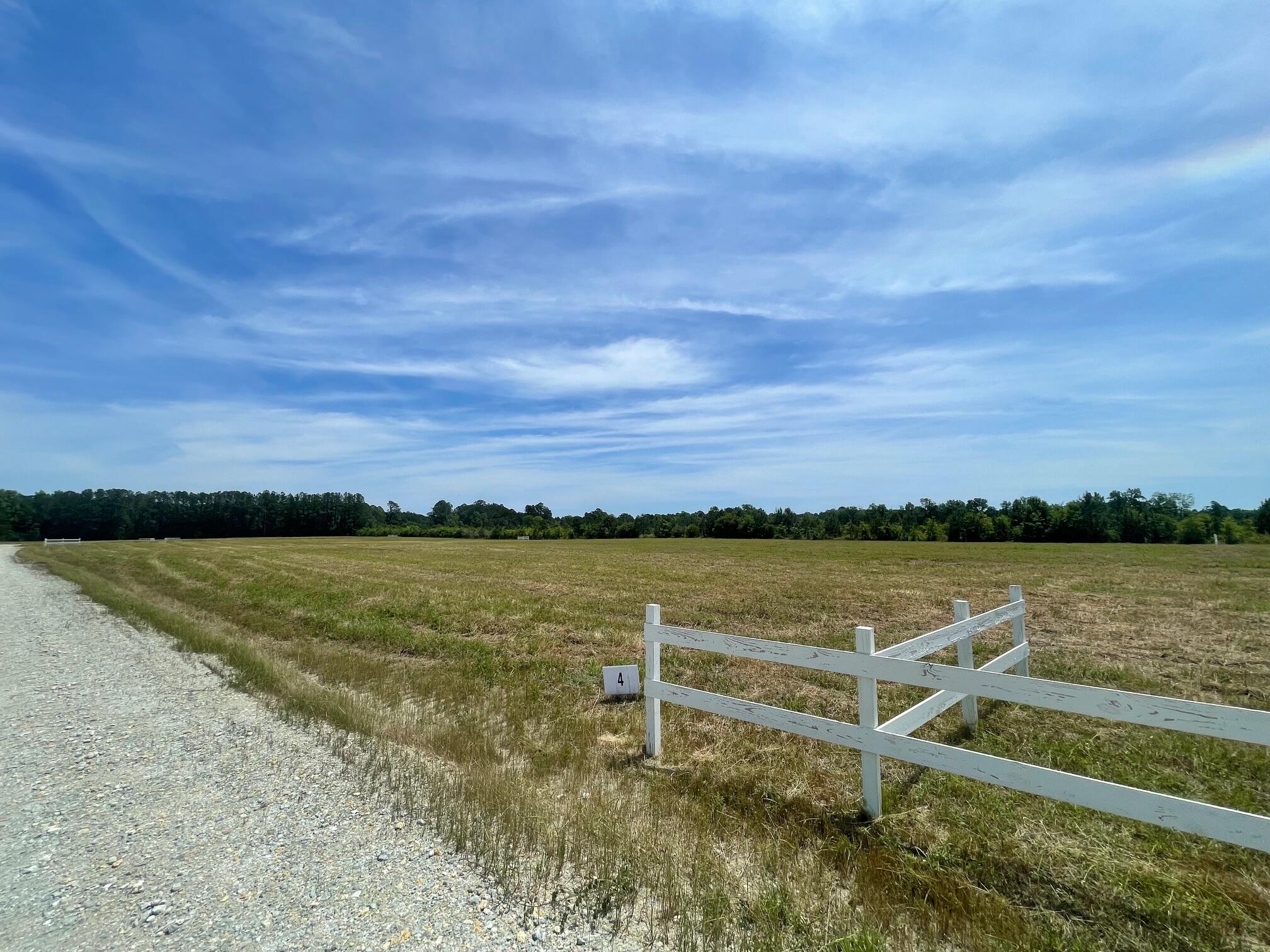129 Rambling Lane Cross, SC 29436 - Photo 3 of 8 IMG_7405