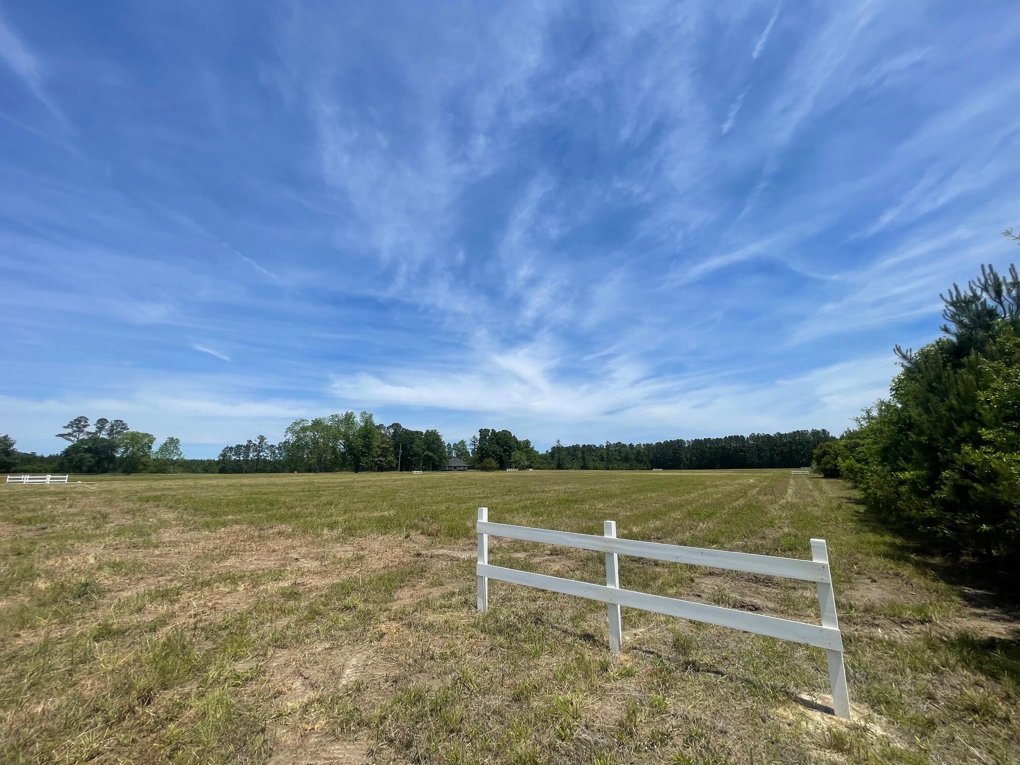 129 Rambling Lane Cross, SC 29436 - Photo 4 of 8 IMG_7406