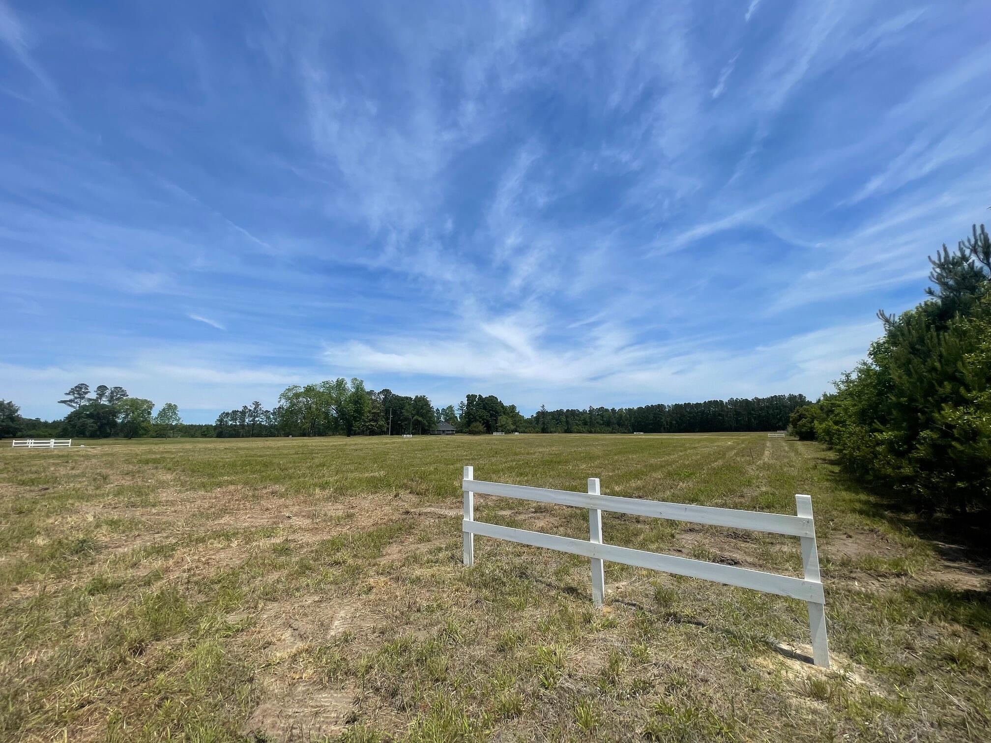 129 Rambling Lane Cross, SC 29436 - Photo 5 of 8 IMG_7407