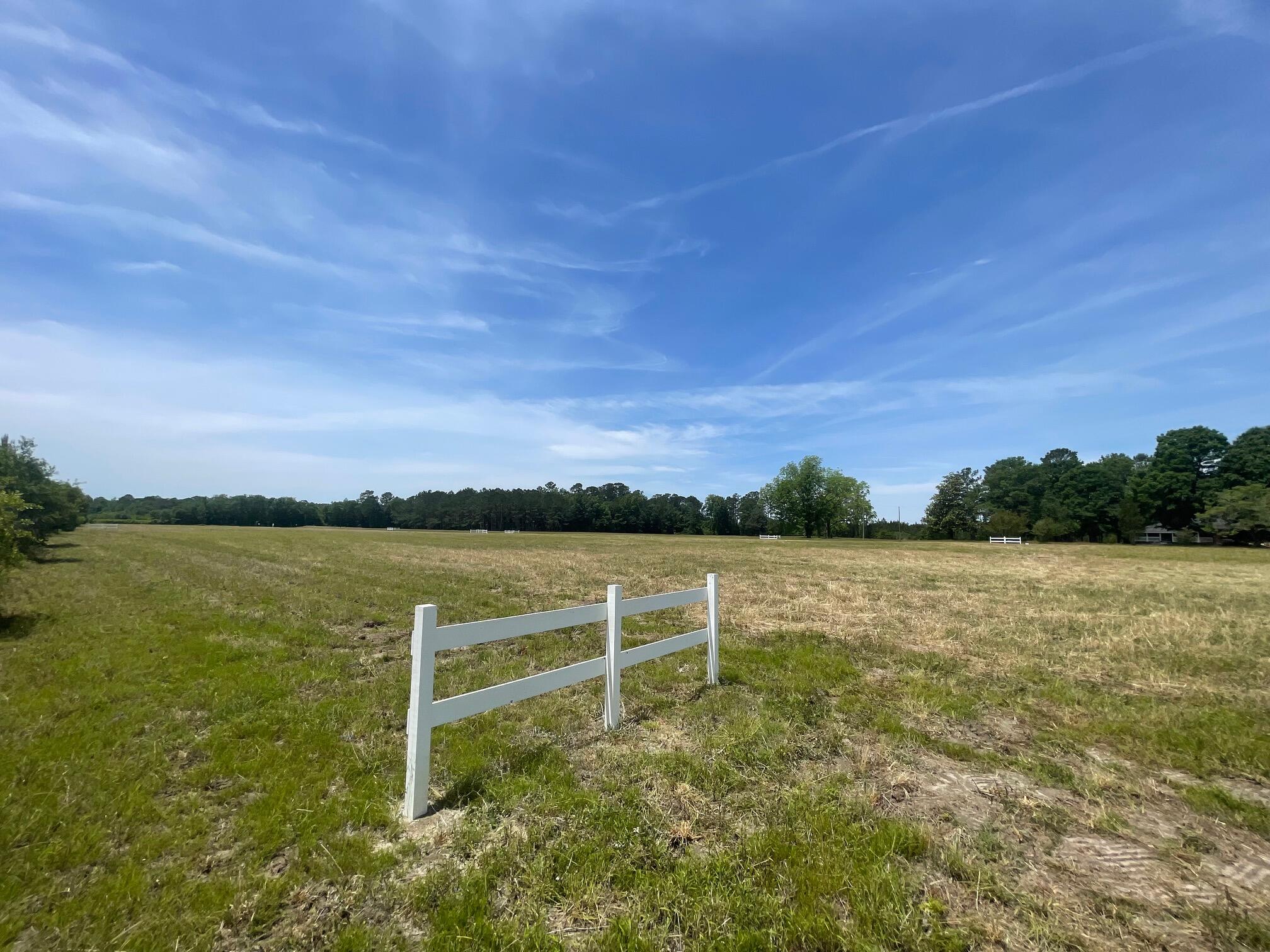129 Rambling Lane Cross, SC 29436 - Photo 6 of 8 IMG_7408