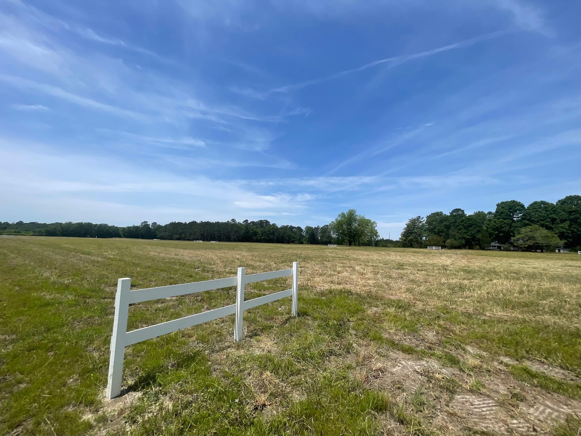 129 Rambling Lane Cross, SC 29436 - Photo 7 of 8 IMG_7409