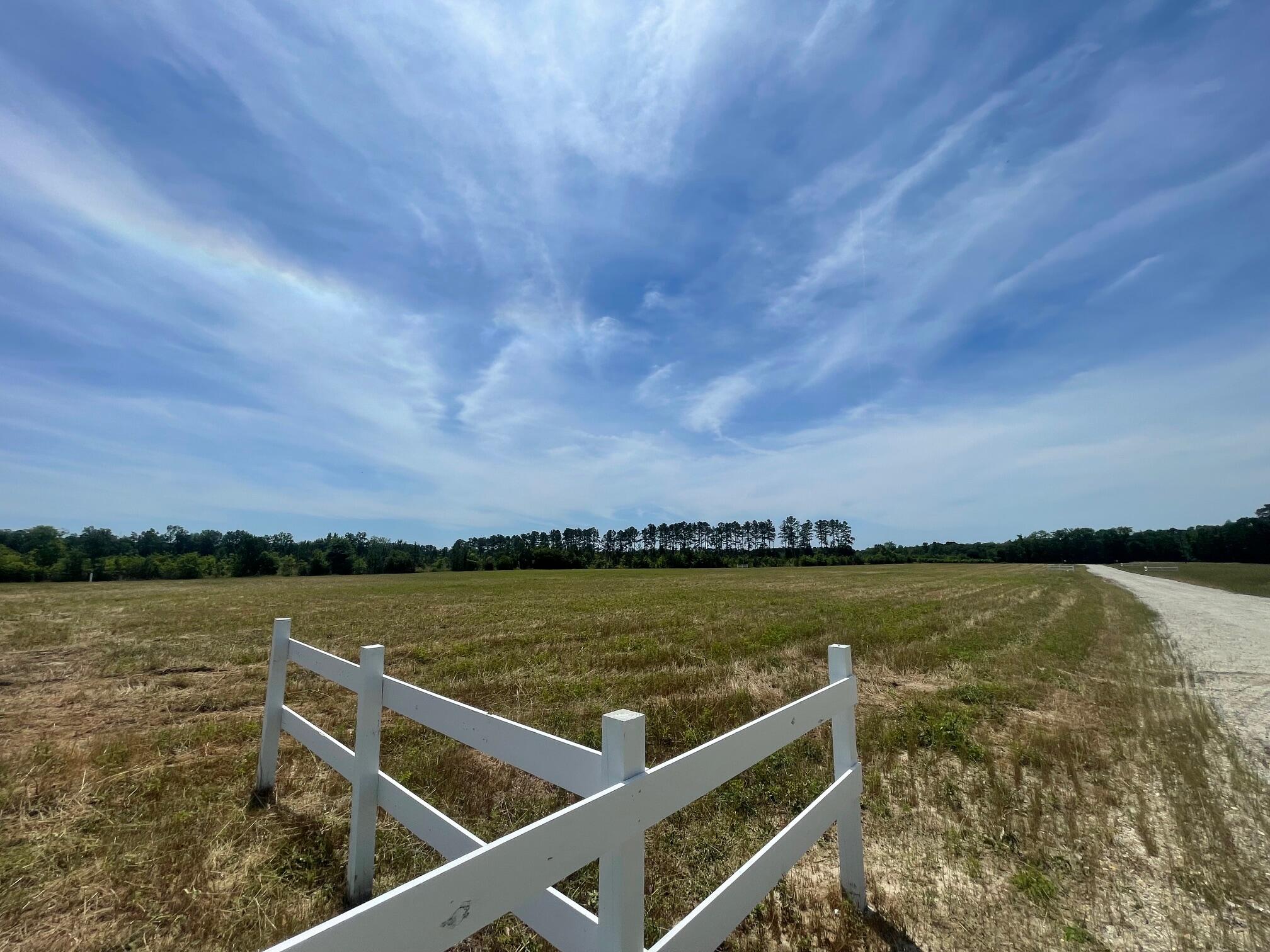 129 Rambling Lane Cross, SC 29436 - Photo 8 of 8 IMG_7410
