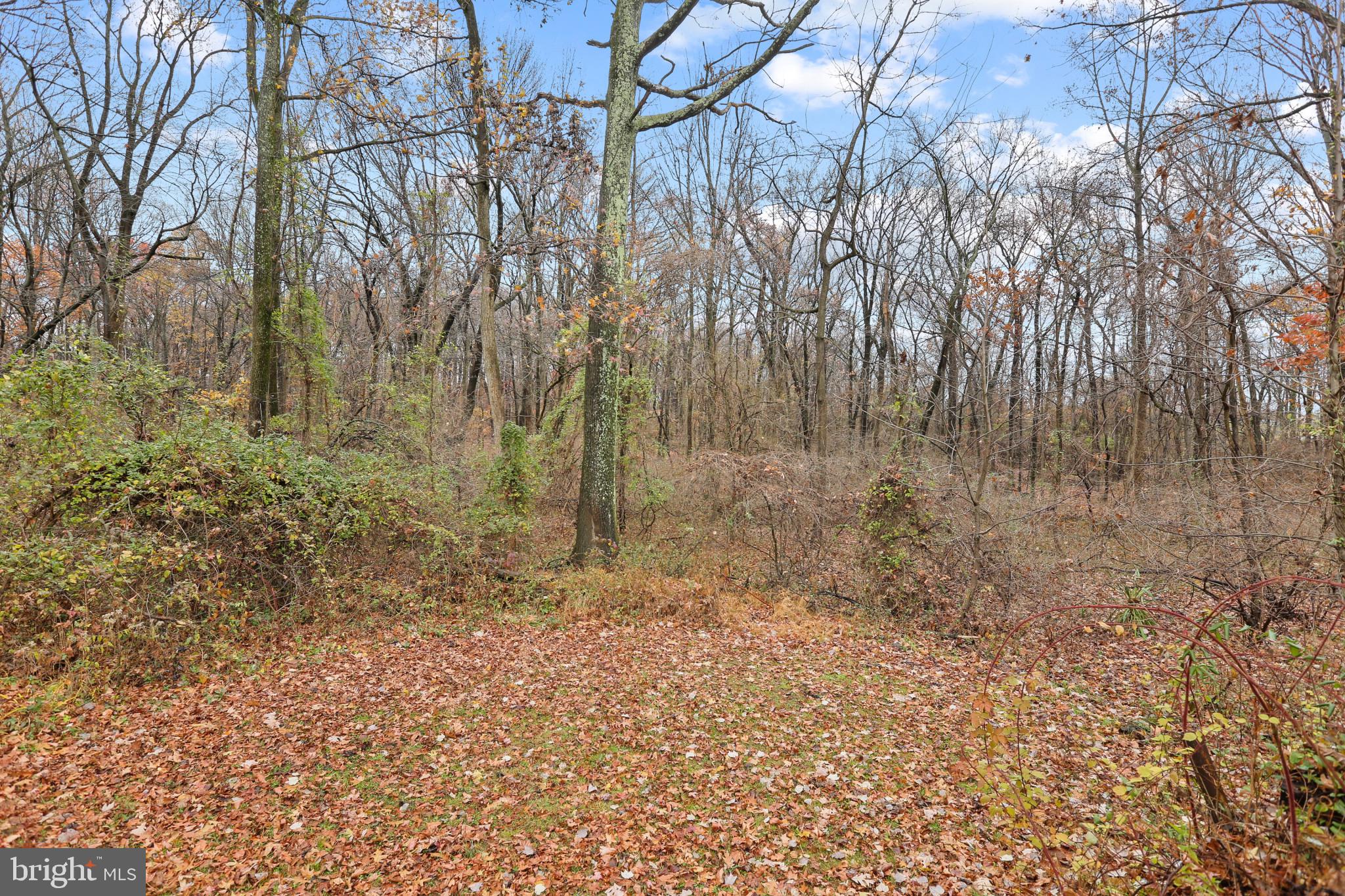 7621 Wilhelm Avenue Rosedale, MD 21237 - Photo 63 of 63