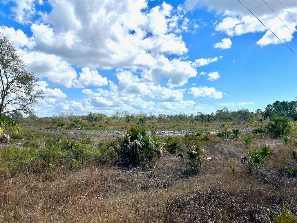 Shiloh Road Cedar Key, FL 32625 - Photo 11 of 26