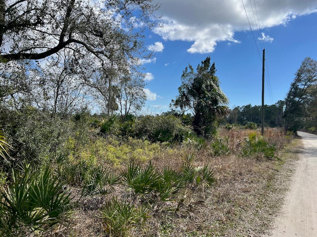 Shiloh Road Cedar Key, FL 32625 - Photo 12 of 26