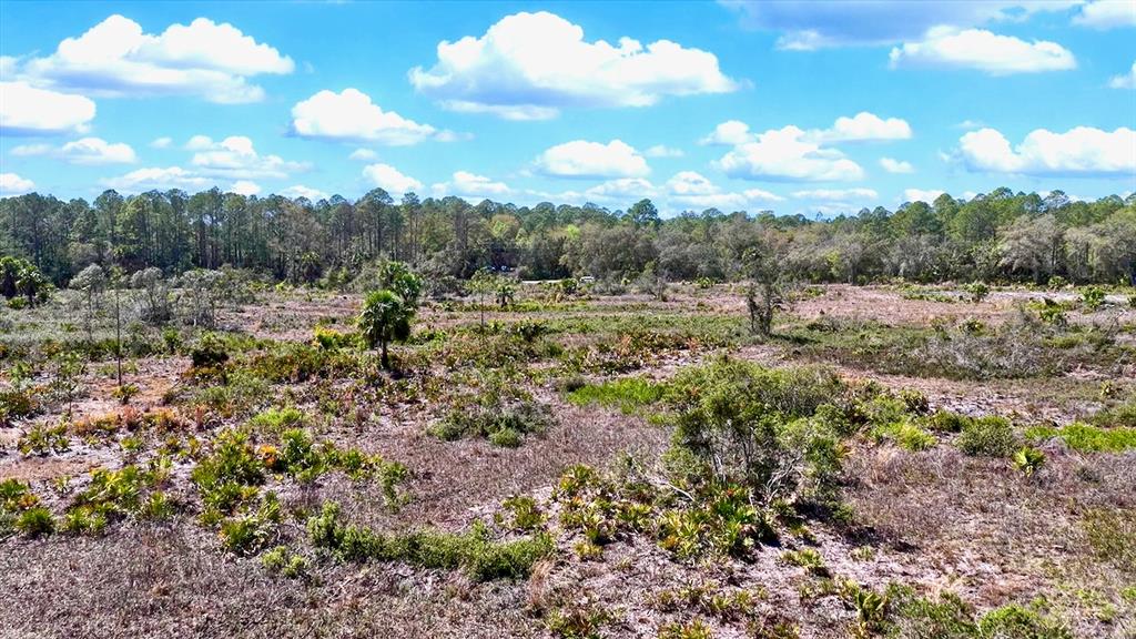 Shiloh Road Cedar Key, FL 32625 - Photo 13 of 26