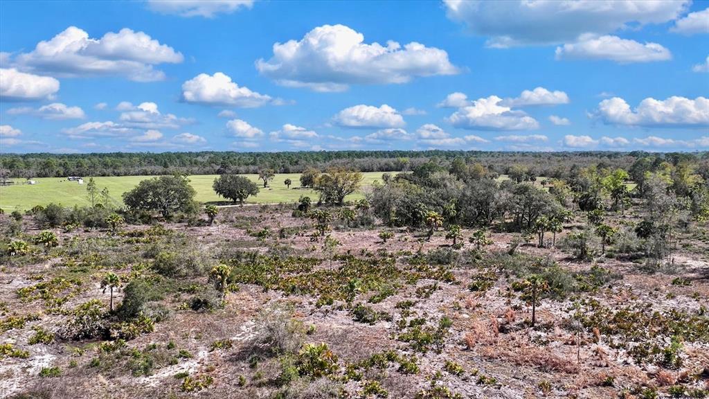 Shiloh Road Cedar Key, FL 32625 - Photo 15 of 26