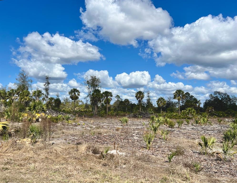 Shiloh Road Cedar Key, FL 32625 - Photo 2 of 26