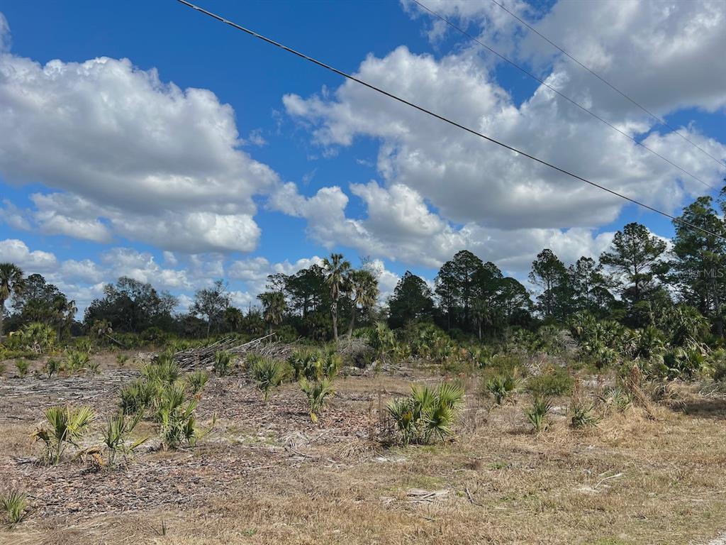 Shiloh Road Cedar Key, FL 32625 - Photo 4 of 26