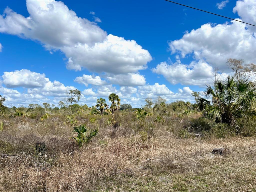 Shiloh Road Cedar Key, FL 32625 - Photo 5 of 26