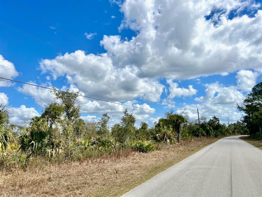 Shiloh Road Cedar Key, FL 32625 - Photo 6 of 26