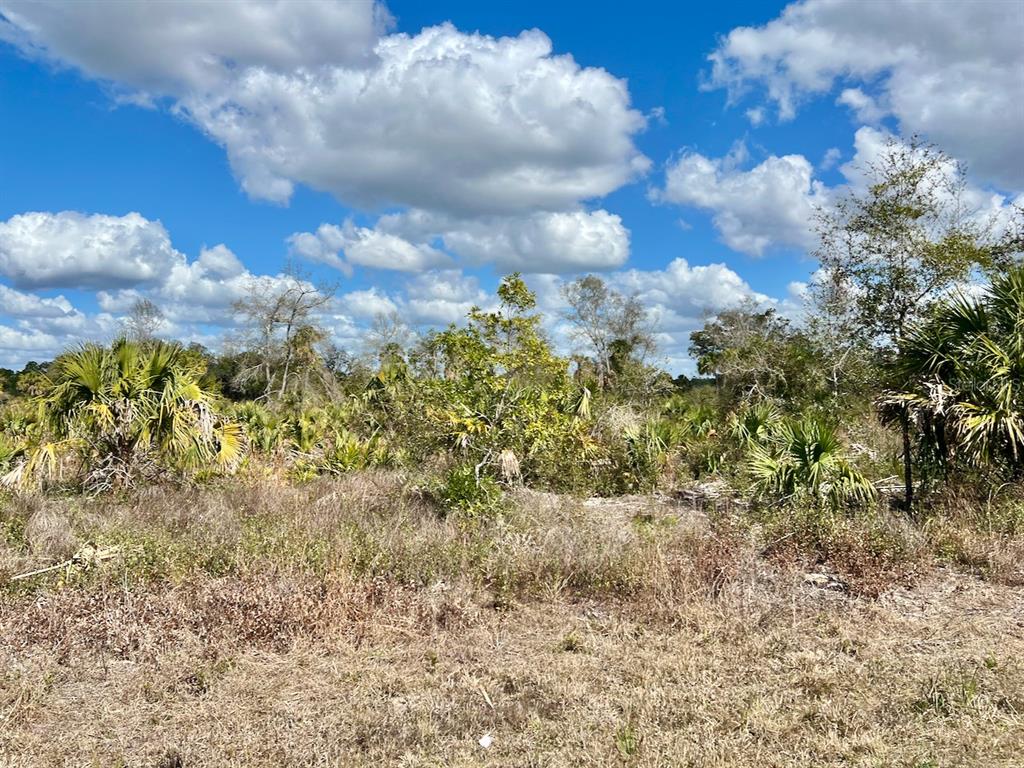 Shiloh Road Cedar Key, FL 32625 - Photo 7 of 26