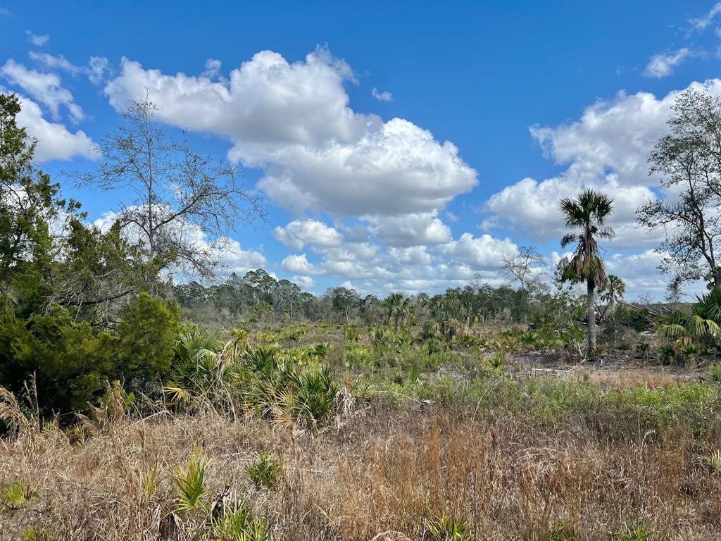 Shiloh Road Cedar Key, FL 32625 - Photo 10 of 26
