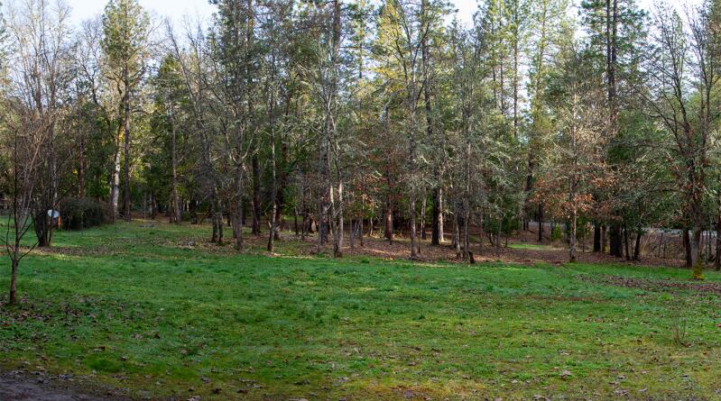 4015 Pleasant Creek Road Rogue River, OR 97537 - Photo 6 of 8 a view of a park with large trees