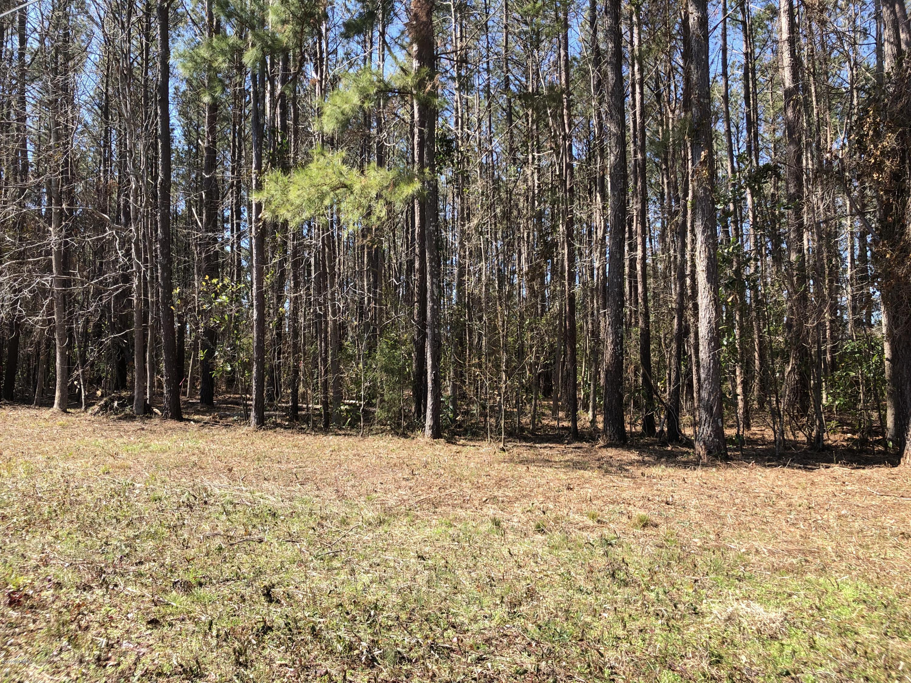 512 Perrytown Road New Bern, NC 28562 - Photo 1 of 12 Wooded Lot