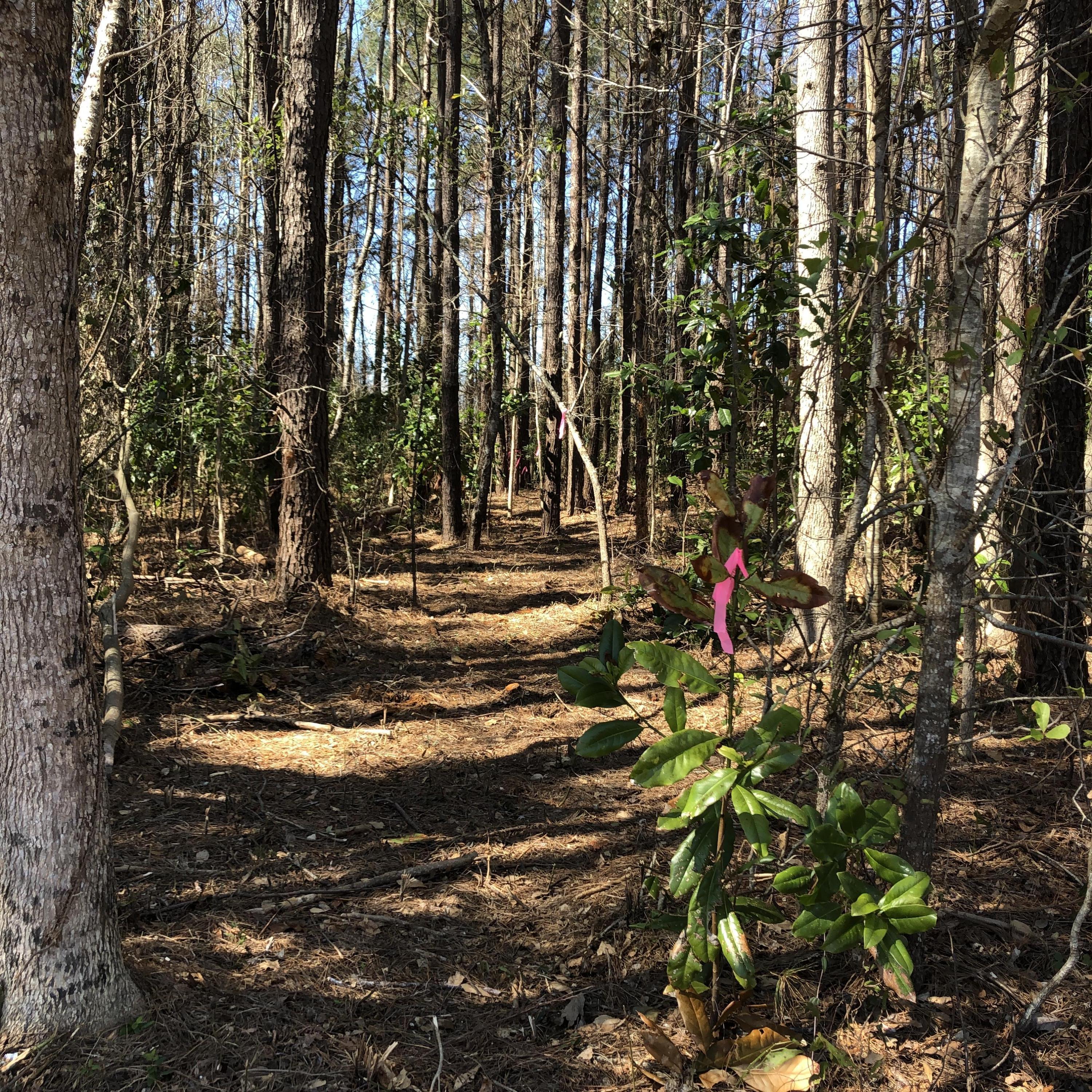 512 Perrytown Road New Bern, NC 28562 - Photo 3 of 12 Peremeter Cleared