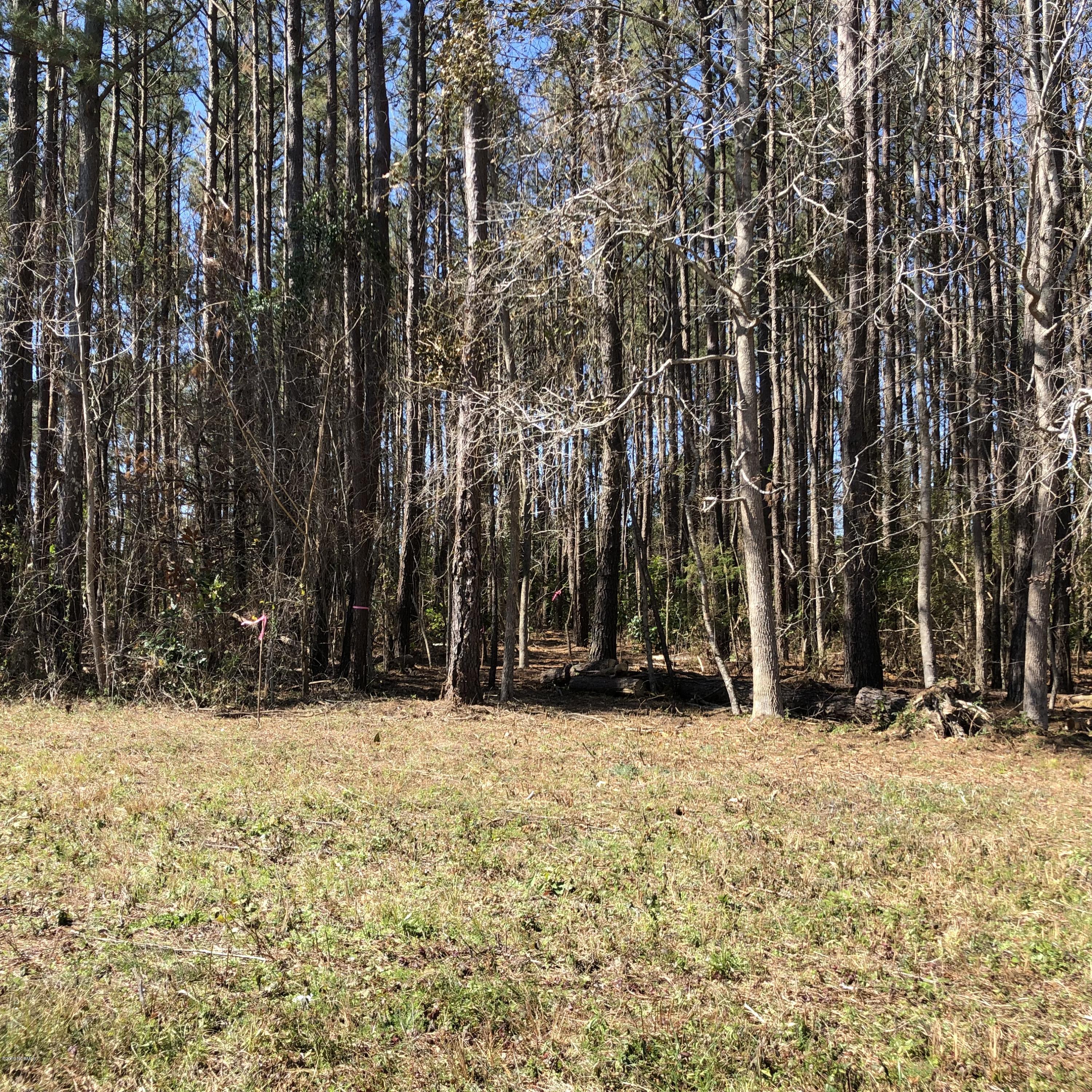 512 Perrytown Road New Bern, NC 28562 - Photo 7 of 12 Wooded Lot