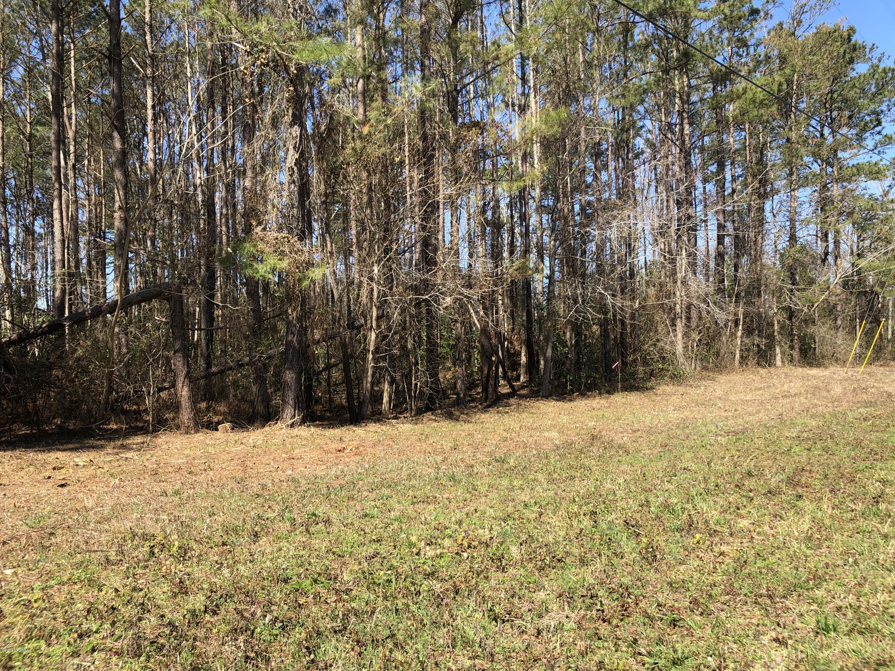 512 Perrytown Road New Bern, NC 28562 - Photo 10 of 12 IMG_4190