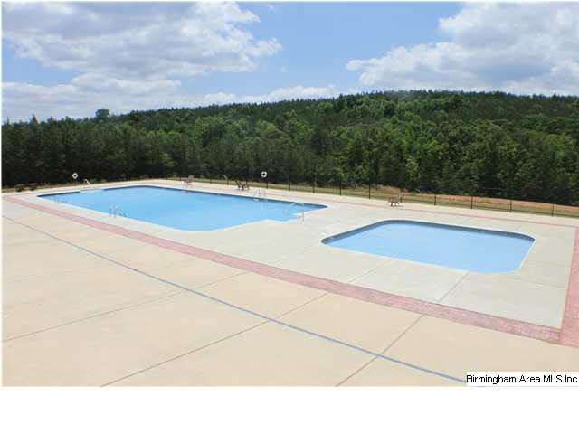 225 Legacy Ridge West Springville, AL 35146 - Photo 7 of 8