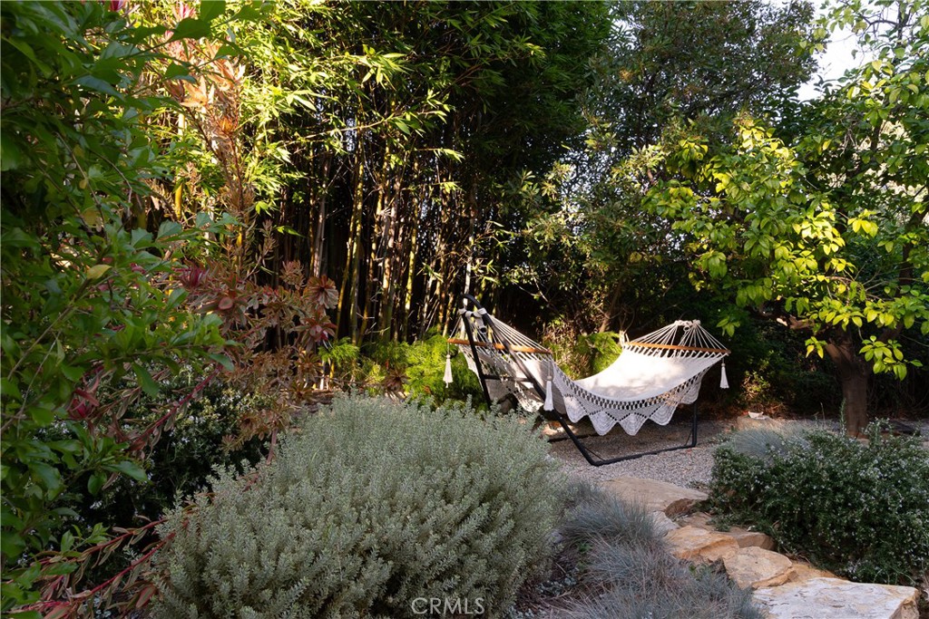 21149 Entrada Road Topanga, CA 90290 - Photo 29 of 39 a view of a backyard with plants and tree