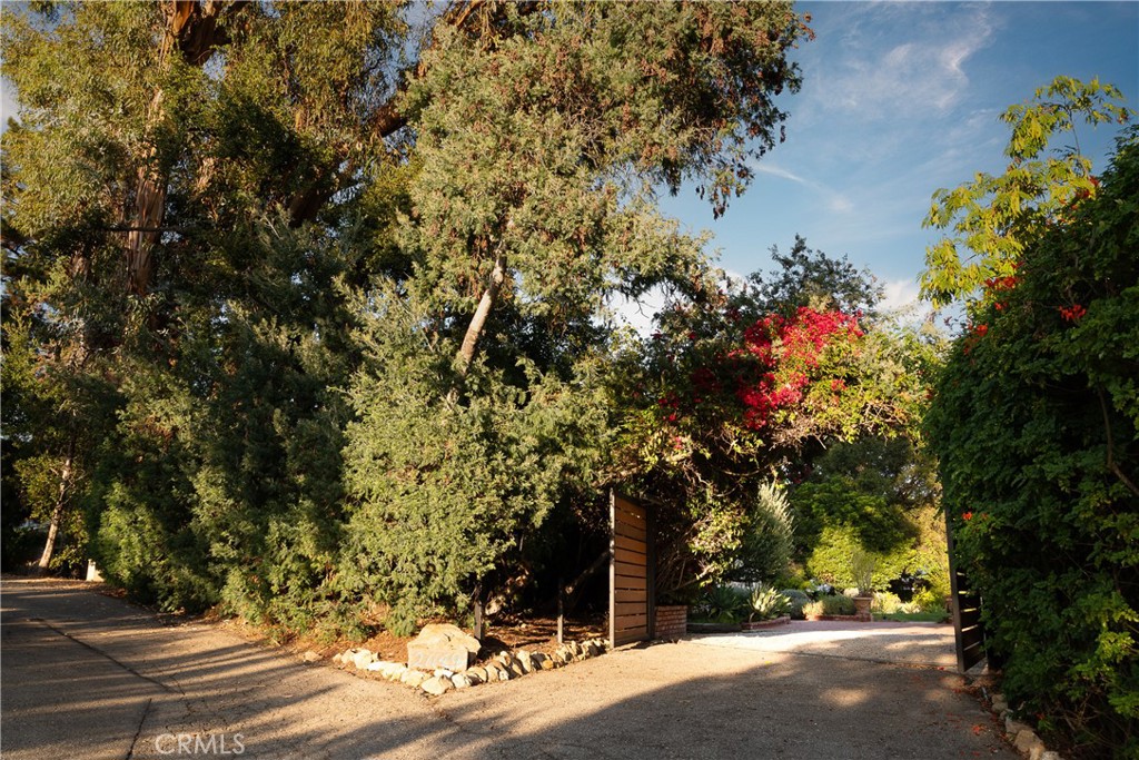 21149 Entrada Road Topanga, CA 90290 - Photo 37 of 39 a view of a street with flower plants and large trees