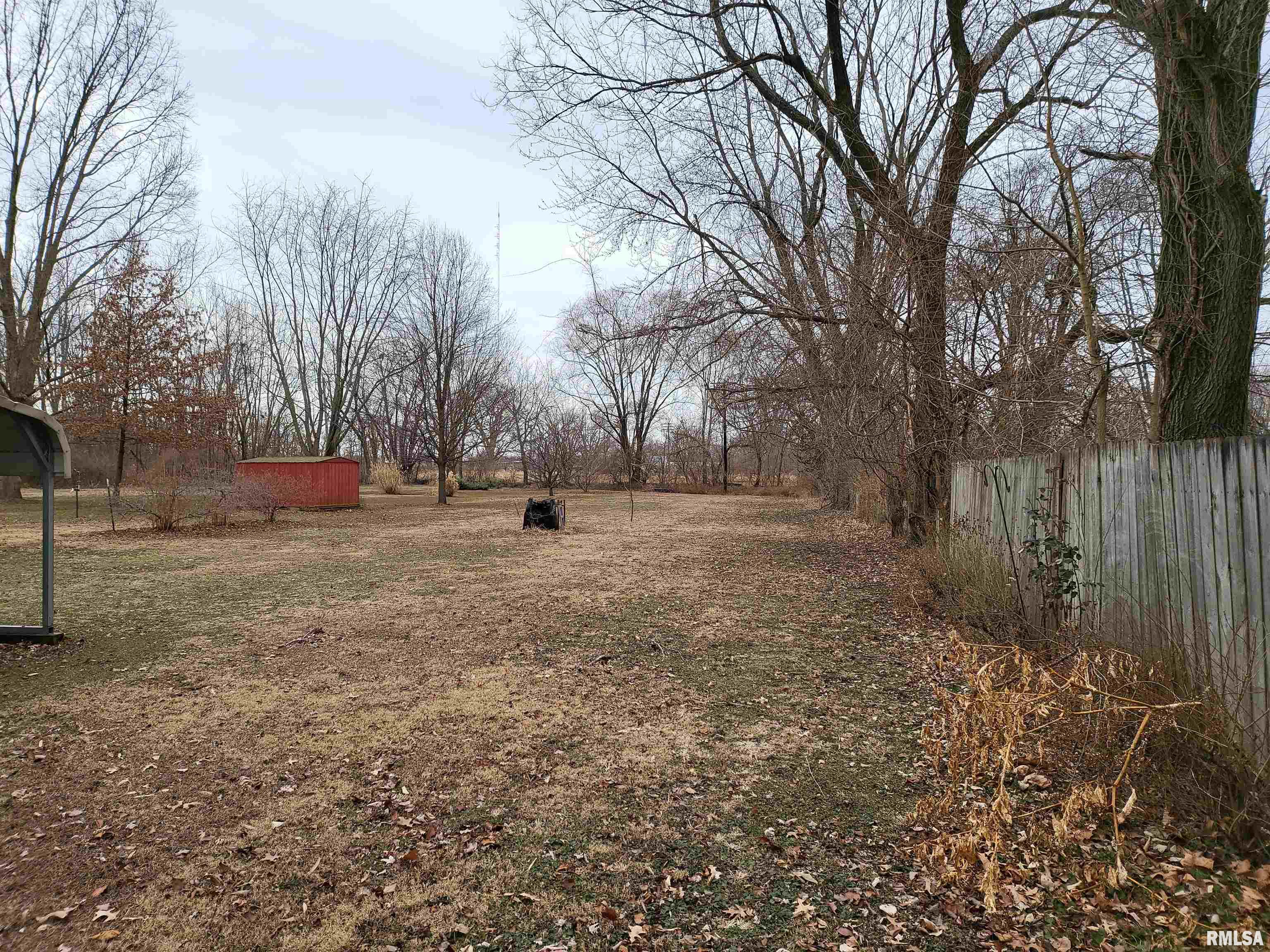 813 Forrest Avenue Springfield, IL 62702 - Photo 5 of 17